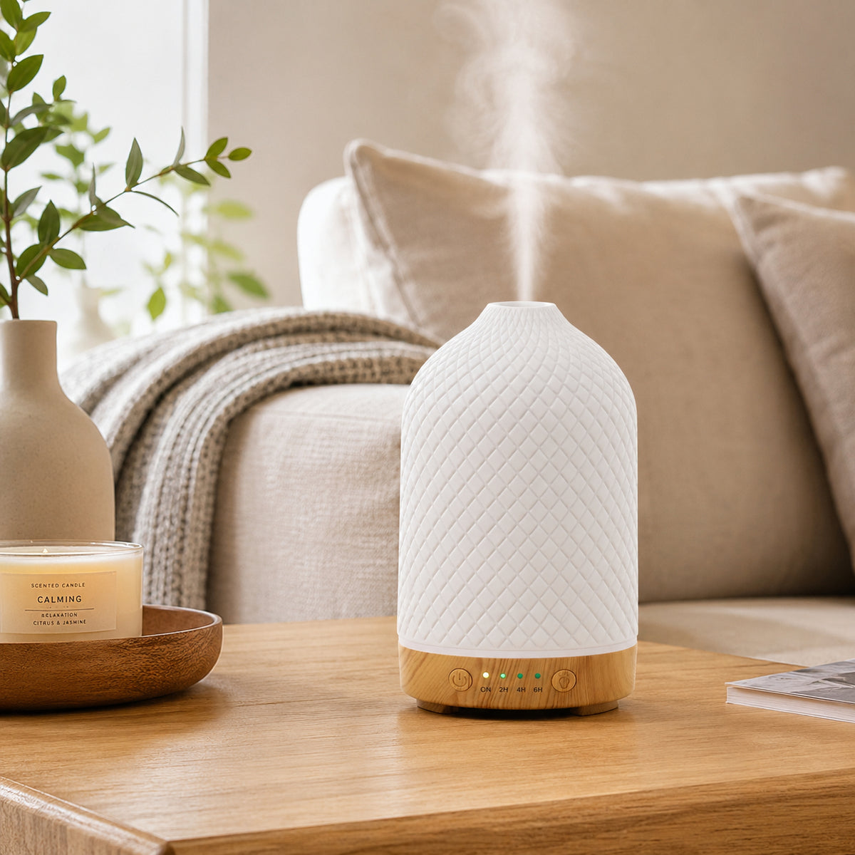 Ceramic Essential Oil Diffuser & Ultrasonic Humidifier